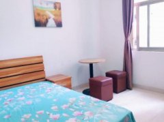 个人直租--精致单身公寓急租+正南向+光线通风皆好+可办居住